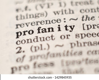 Dictionary definition of word profanity, selective focus.