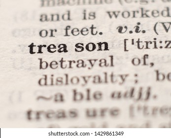 Dictionary definition of word treason, selective focus.