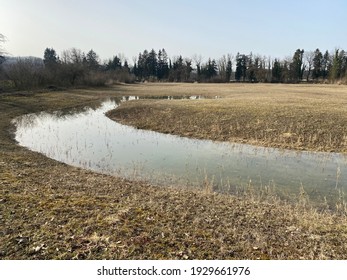 Die Altwasser Im Rottenschwiler Moos Natural Stock Photo 1929661976 ...