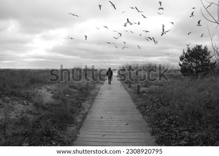 Similar – Man walking along the jetty