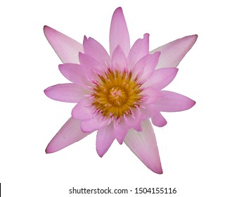 347 Die Cut Lotus Images, Stock Photos & Vectors | Shutterstock