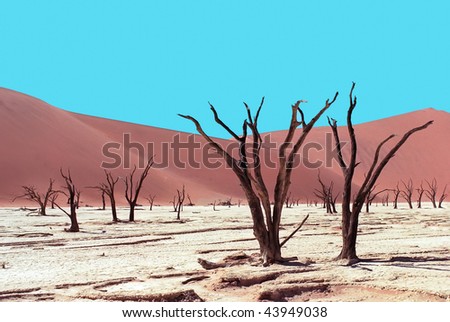 Similar – arid expanse Landscape