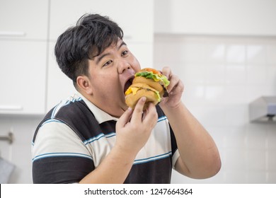 giant big mac hellthy junk food