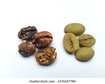 Difference between bad coffee beans and good coffee beans. The bad coffee beans on the left are caused by insects that enter through small holes and eat coffee beans.