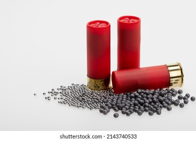 Difference size of birdshot inside the shotgun shell bullets , Gun shooting game