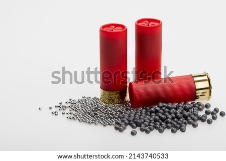 Difference size of birdshot inside the shotgun shell bullets , Gun shooting game