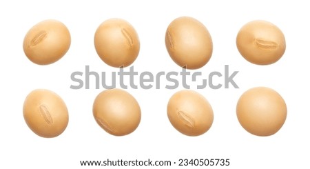 Different angle of individual soybean isolated on white background