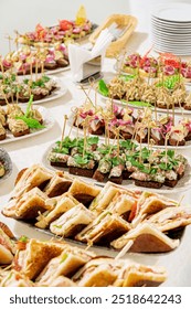 different appetizers on the catering table