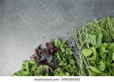 Different aromatic herbs on gray textured table, top view. Space for text