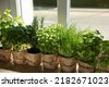 fresh herbs in kitchen