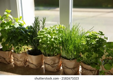 Different aromatic potted herbs on windowsill indoors - Shutterstock ID 2182671023