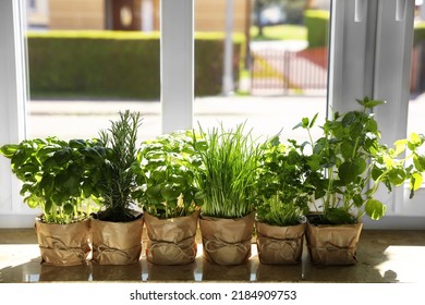 Different aromatic potted herbs on windowsill indoors - Powered by Shutterstock