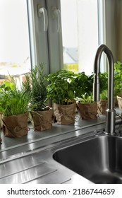 Different Aromatic Potted Herbs On Window Sill Near Kitchen Sink