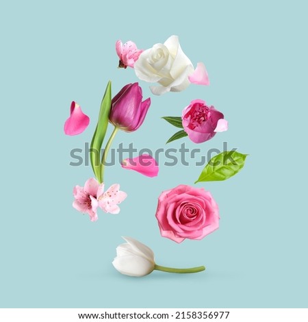 Different beautiful flowers flying on turquoise background