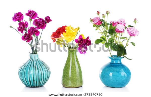 Different Beautiful Flowers Vases Isolated On Stock Photo Edit