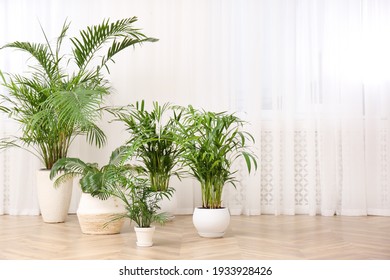 Different beautiful indoor plants on floor in room. House decoration - Shutterstock ID 1933928426