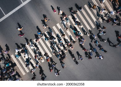 Different Blurred People At A Pedestrian Crossing In The City - Drone Shot. People At A Zebra Pedestrian Crossing - A Lot Of Pedestrians In An Overcrowded City On A Sunny Day. Aerial Drone Shot. 