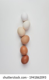 Different brown colors eggs white background  Color gradient  Zero waste Easter concept 