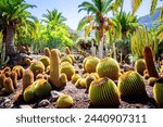 Different Cactus Plants on Gran Canaria Island Spain.