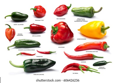 218,911 Capsicum Stock Photos, Images & Photography | Shutterstock