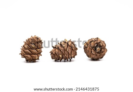Different cedar cones with pine nuts on white background.