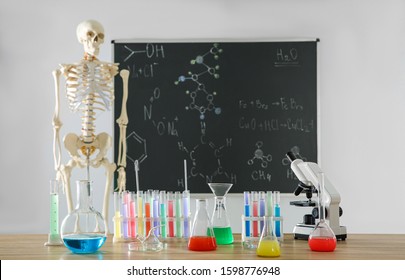 Different Chemistry Glassware And Skeleton In Classroom