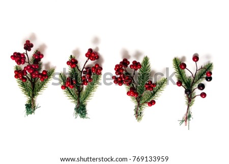 Different Christmas berry branches isolated on a white background.