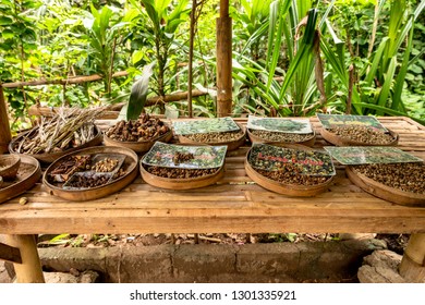 Different Coffee Beans On A Table On A Coffee Plantation In Bali