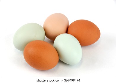 Different Color Chicken Eggs