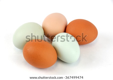 different color chicken eggs