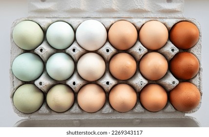 Lot of different color chicken eggs arranged by color on paper egg box. All sorts of colors: blue, green, white, beige, brown. From natural organic farm. Minimal above view. - Powered by Shutterstock