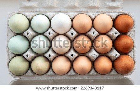 Lot of different color chicken eggs arranged by color on paper egg box. All sorts of colors: blue, green, white, beige, brown. From natural organic farm. Minimal above view.