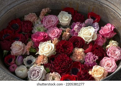 Different Colored Roses In A Galvanized Metal Tub.