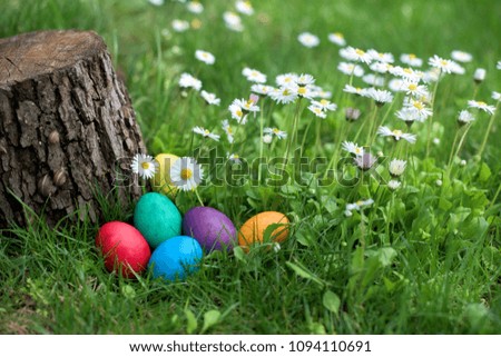 Similar – Easter eggs in a garden