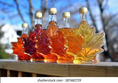 Different colour variatons of maple syrup made by a backyard hobbyist in Springhill, Nova Scotia.