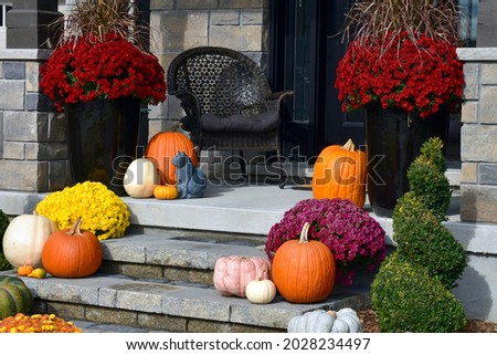 Different coloured pumpkins and mums create luxury thanksgiving landscaping decor.