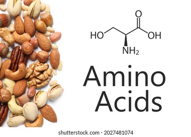 Different Delicious Nuts On White Background, Flat Lay. Source Of Essential Amino Acids