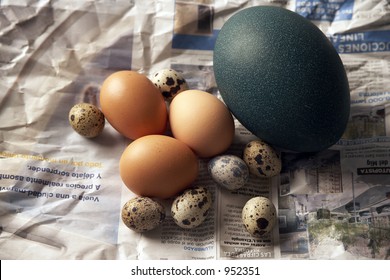 Different  Eggs Sizes