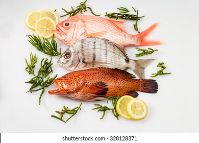 Different Food Fishes, Marbled Rockcod, Deep Sea Perch And Coral Grouper, Seaweed, Lemon