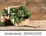 Different fresh herbs in basket on wooden table, space for text