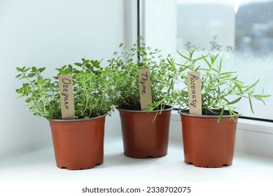 Different fresh potted herbs on windowsill indoors - Shutterstock ID 2338702075