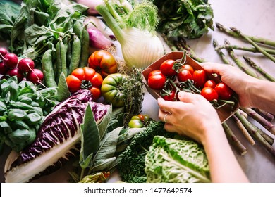 Different Fresh Vegetables And Greens On The Table Before Cooking. Healthy Eating Concept.