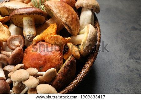 Different fresh wild mushrooms on grey table, closeup