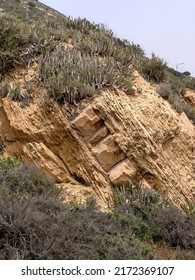 Different geological strata of earth and stones of a rock fall on the hill of Agadir. Dry soil plants grow in this place. - Shutterstock ID 2172369107