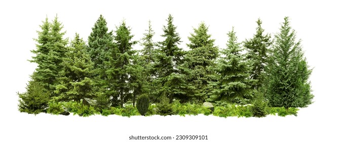 Different green trees and plants on white background