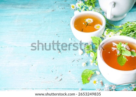 Different herbal tea set. Various  cups with organic herbal, flower tea - camomile, chicory, melissa mint, lavender. Organic natural drinks concept. Health and immunity care beverages