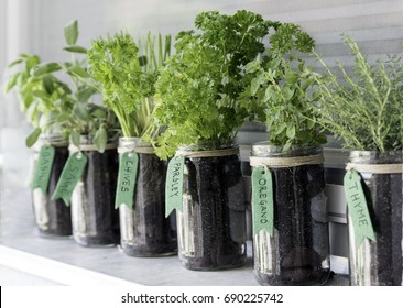 different herbs (basil, sage, chives, parsley, oregano and thyme) growing in mason jars on a window - Shutterstock ID 690225742