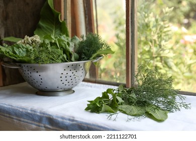 Different Herbs In Colander Near Window Indoors