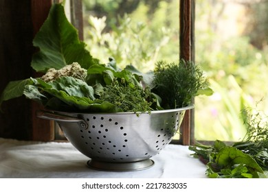 Different Herbs In Colander Near Window Indoors