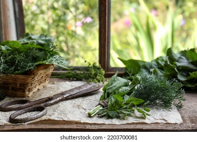 Different Herbs And Rusty Scissors On Window Sill Indoors